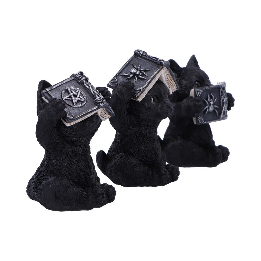 NEMESIS NOW - 3 Wise Witchy Black Cats Figures