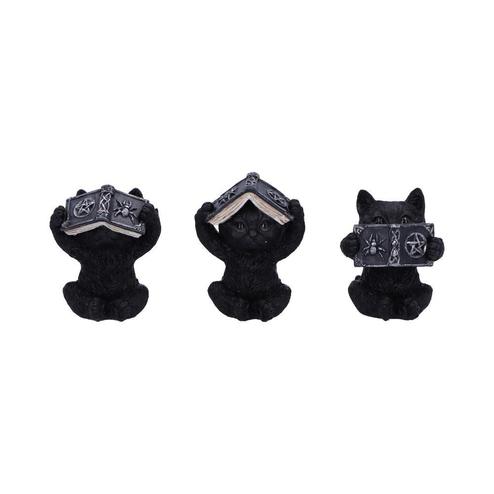 NEMESIS NOW - 3 Wise Witchy Black Cats Figures