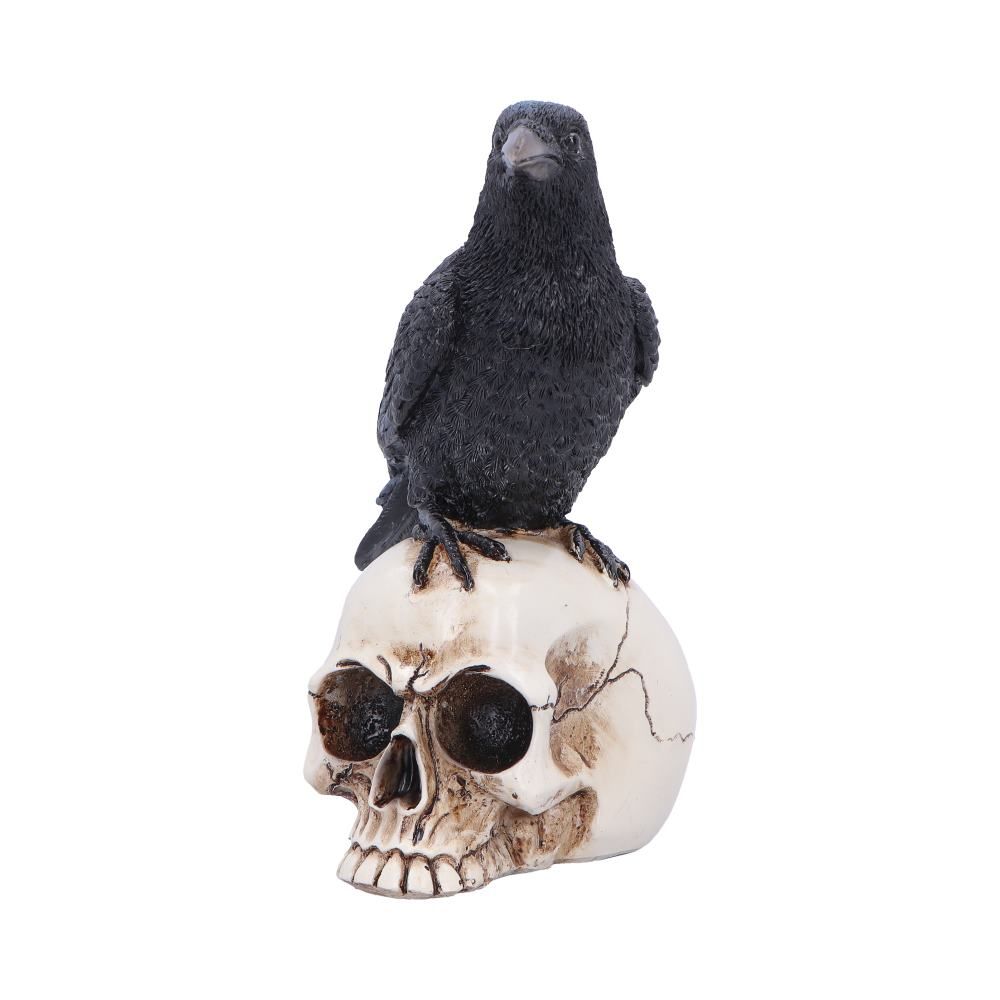 NEMESIS NOW - Nevermore Vigil Raven Standing On Skull Figure