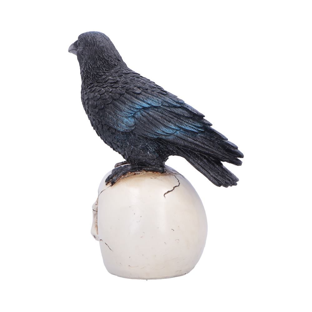 NEMESIS NOW - Nevermore Vigil Raven Standing On Skull Figure