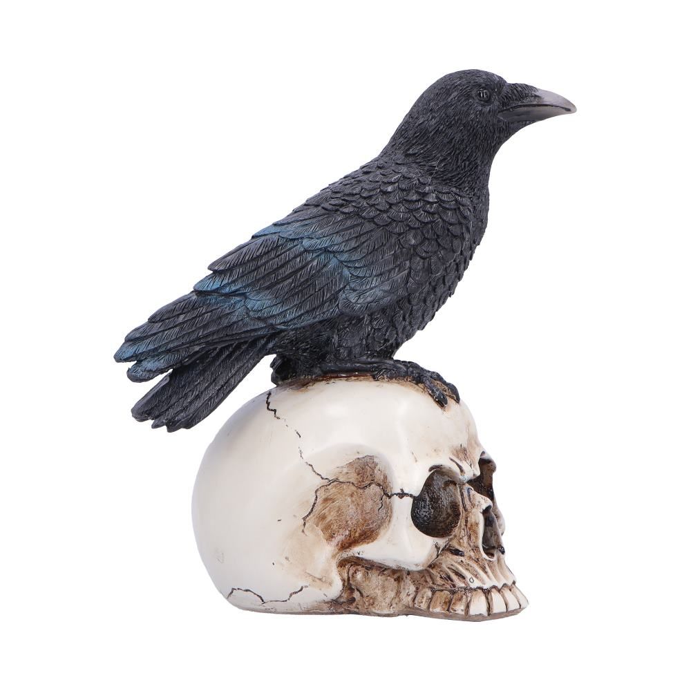 NEMESIS NOW - Nevermore Vigil Raven Standing On Skull Figure