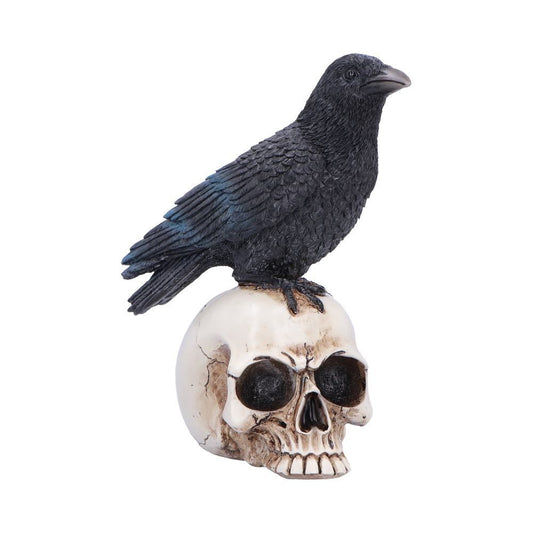 NEMESIS NOW - Nevermore Vigil Raven Standing On Skull Figure