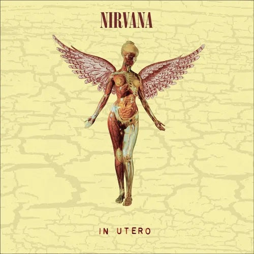NIRVANA - In Utero Remastered 30th Anniversary Limited Edition Vinyl Album