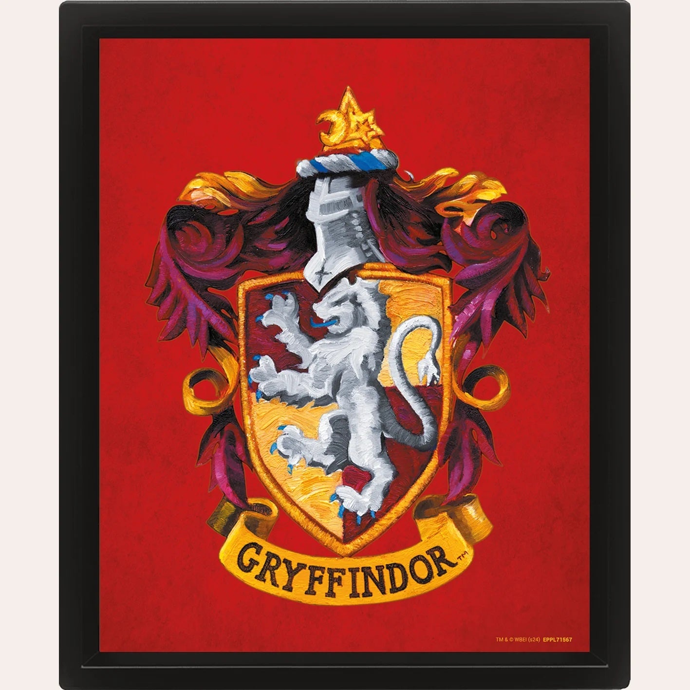 HARRY POTTER - Gryffindor 3D Lenticular Framed Print