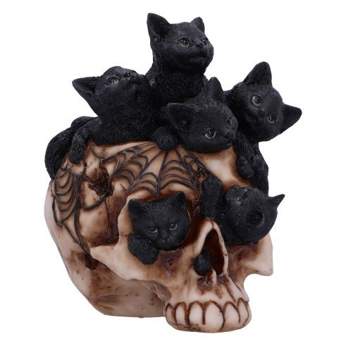 NEMESIS NOW - Cranial Litter Skull